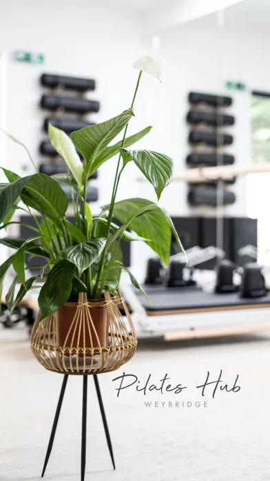 Capturas de pantalla de Pilates Hub Weybridge