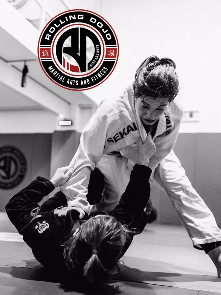 Rolling Dojo iPad  Ekran Görüntüleri