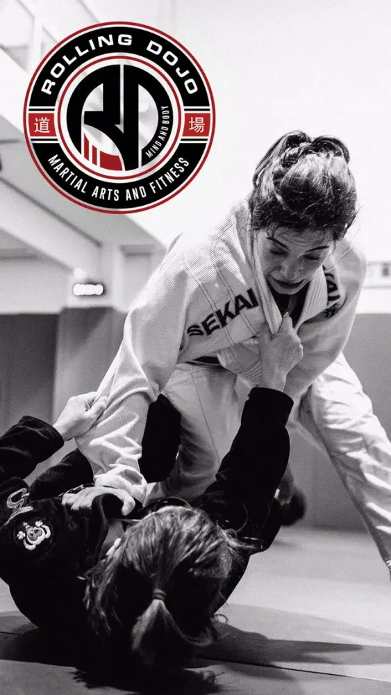 Rolling Dojo Ekran Görüntüleri