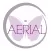 Go Aerial Fitness