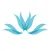 Pur Bliss Medispa