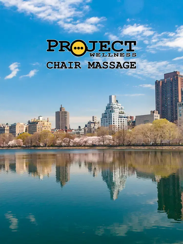 Capturas de pantalla de Chair Massage iPad 
