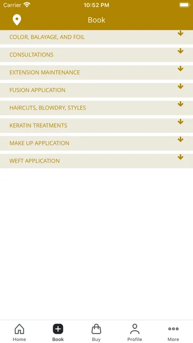 Christina White Salon Screenshots