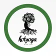 Destin Hot Yoga