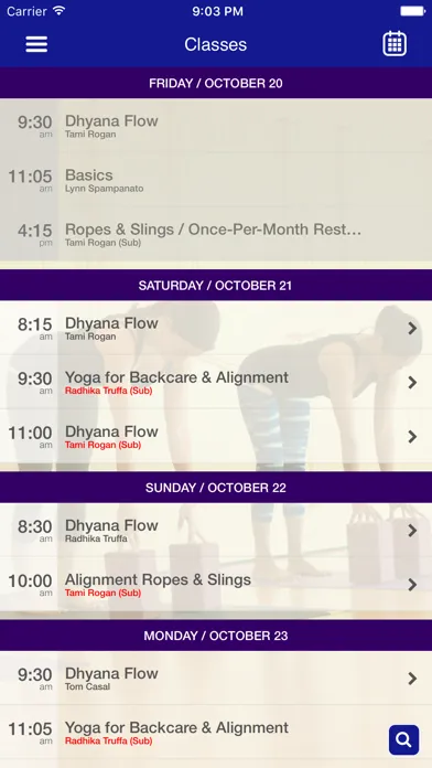 ภาพหน้าจอของ Dhyana Yoga Arts