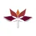 Dragonfly Yoga Studies