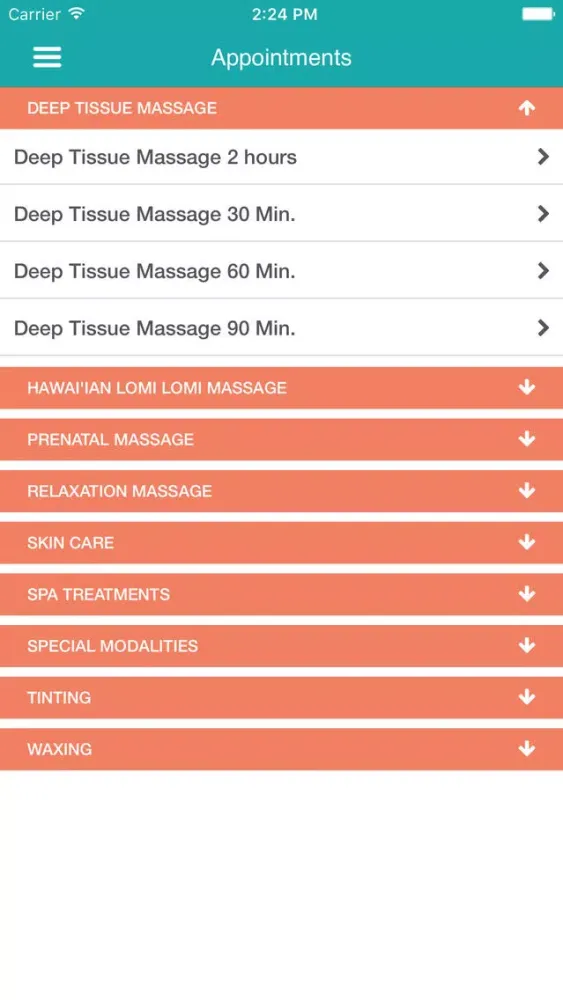 Elemental Massage Therapy スクリーンショット