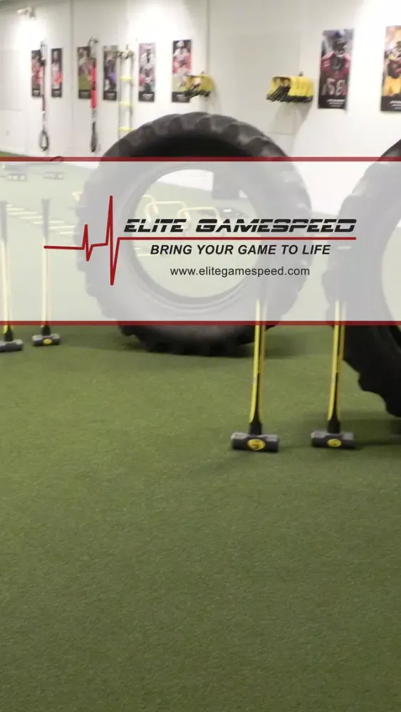 تصاویر Elite Gamespeed