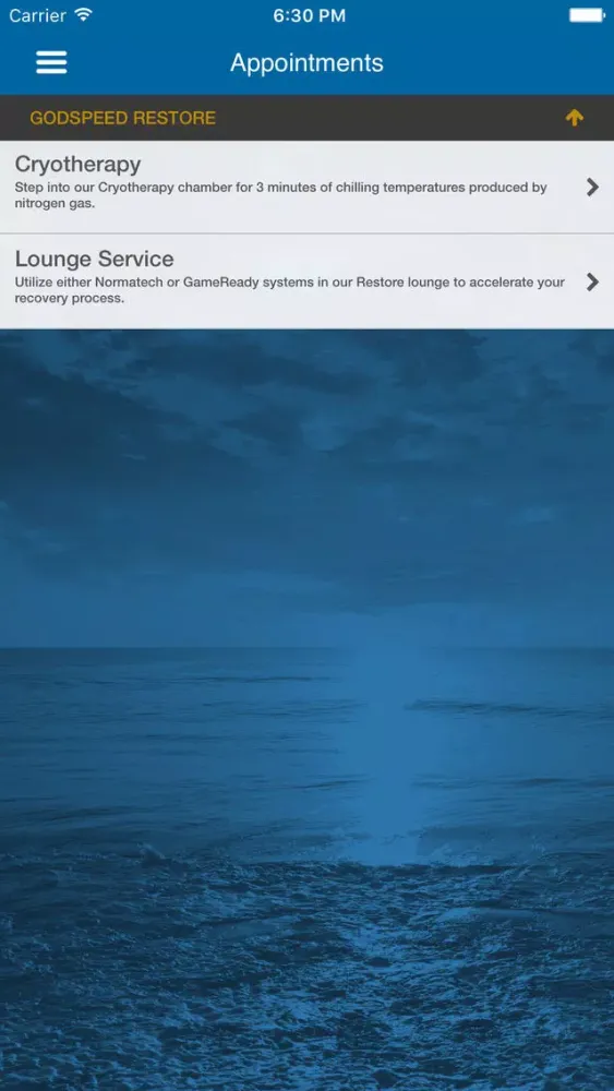 تصاویر Godspeed Restore