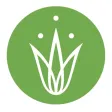 Grassroots Yoga - Ventura, Ca