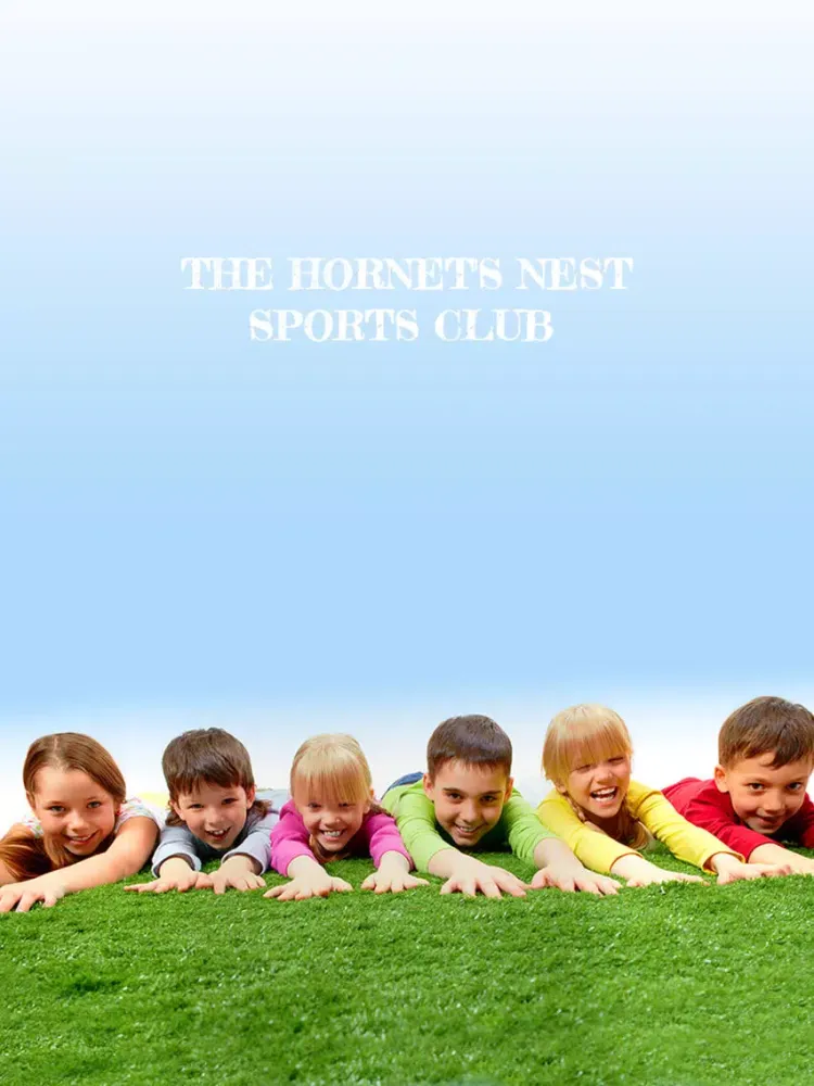 Скриншоты Hornets Nest Sports Club iPad 