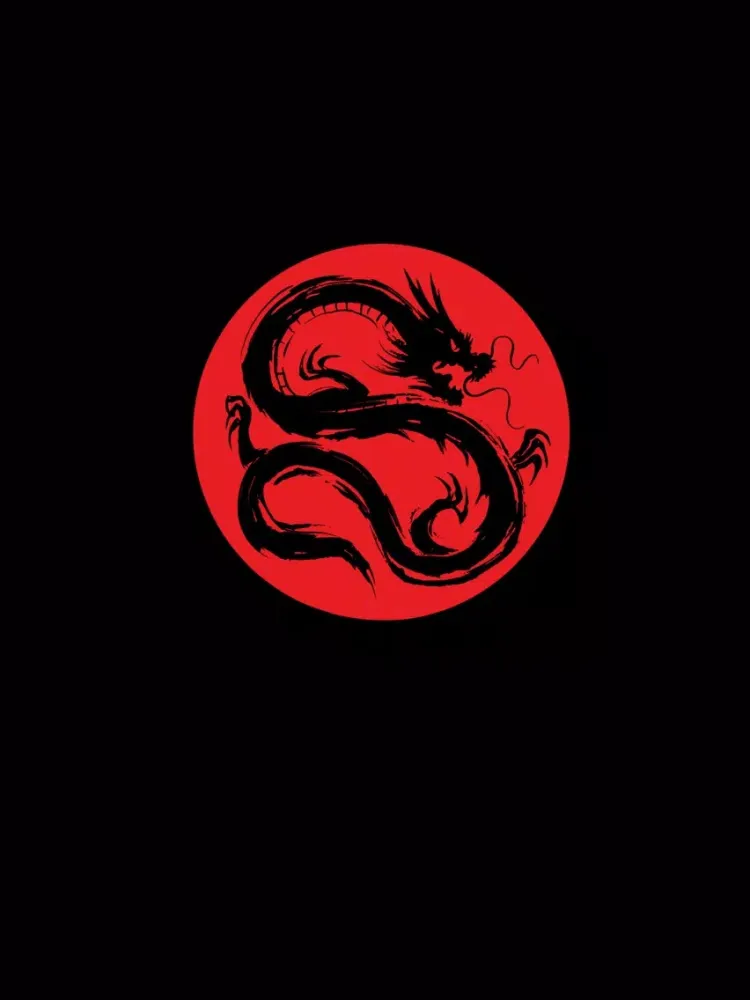 Скриншоты Middleton Karate Academy iPad 