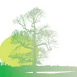 Mind Body Balance LLC.