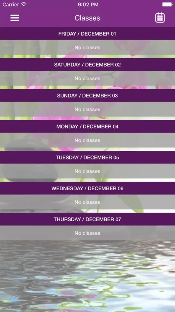 Capturas de tela do Molly's Massage & More