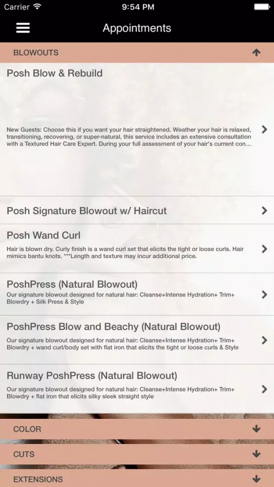 Captures d'écran de Posh Salon and Blowdry Bar