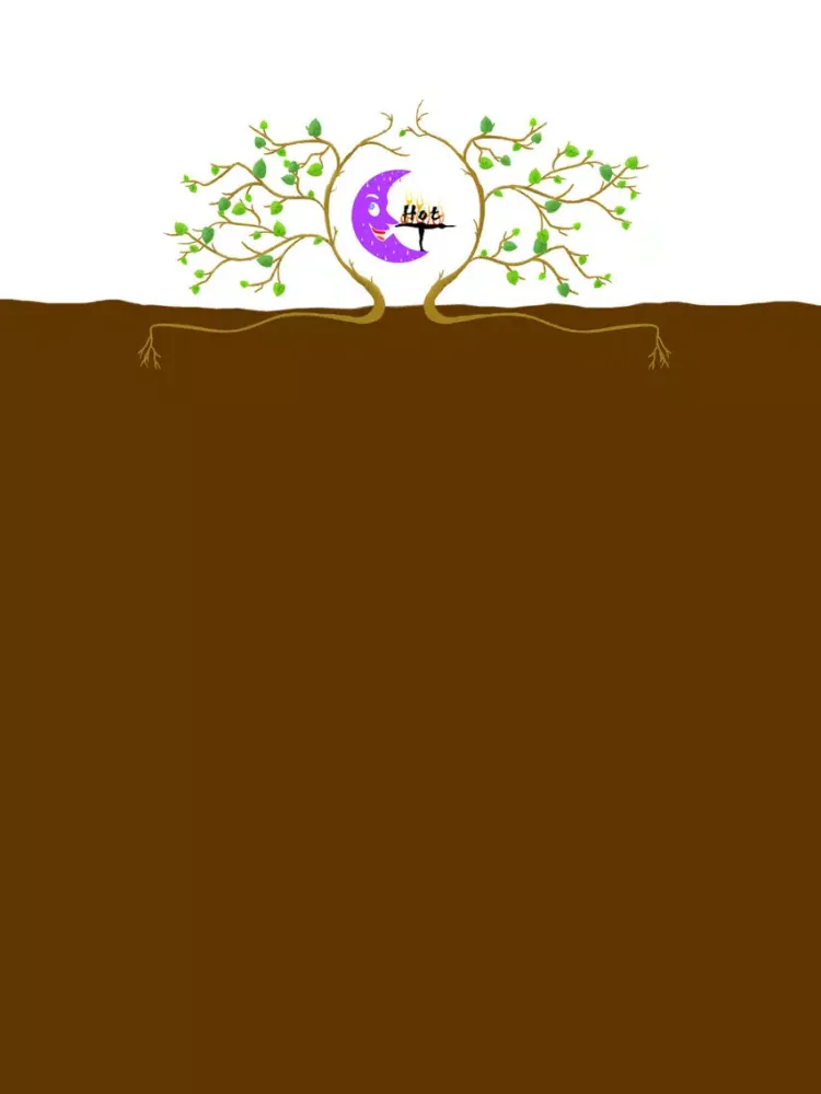 Capturas de tela do Purple Moon Hot Yoga iPad 