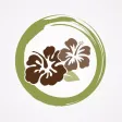 Shiatsu & Massage Center
