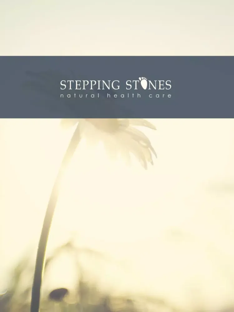 Скриншоты Stepping Stones NHC iPad 