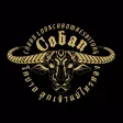 Team Coban