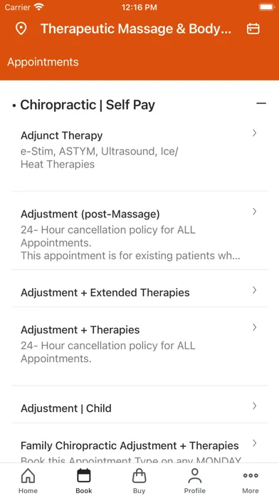 Therapeutic Massage & Bodywork Screenshots