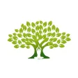 Windsor Yoga Family