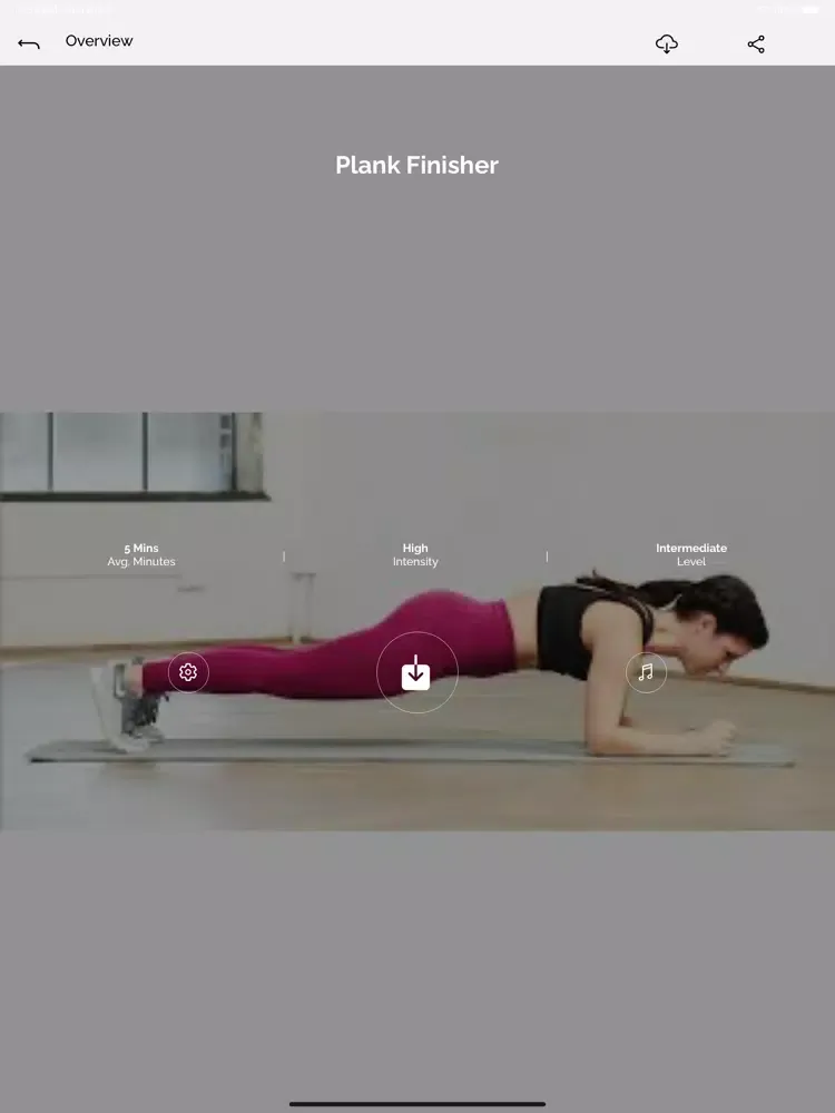 Ảnh chụp màn hình của FitSecret iPad 