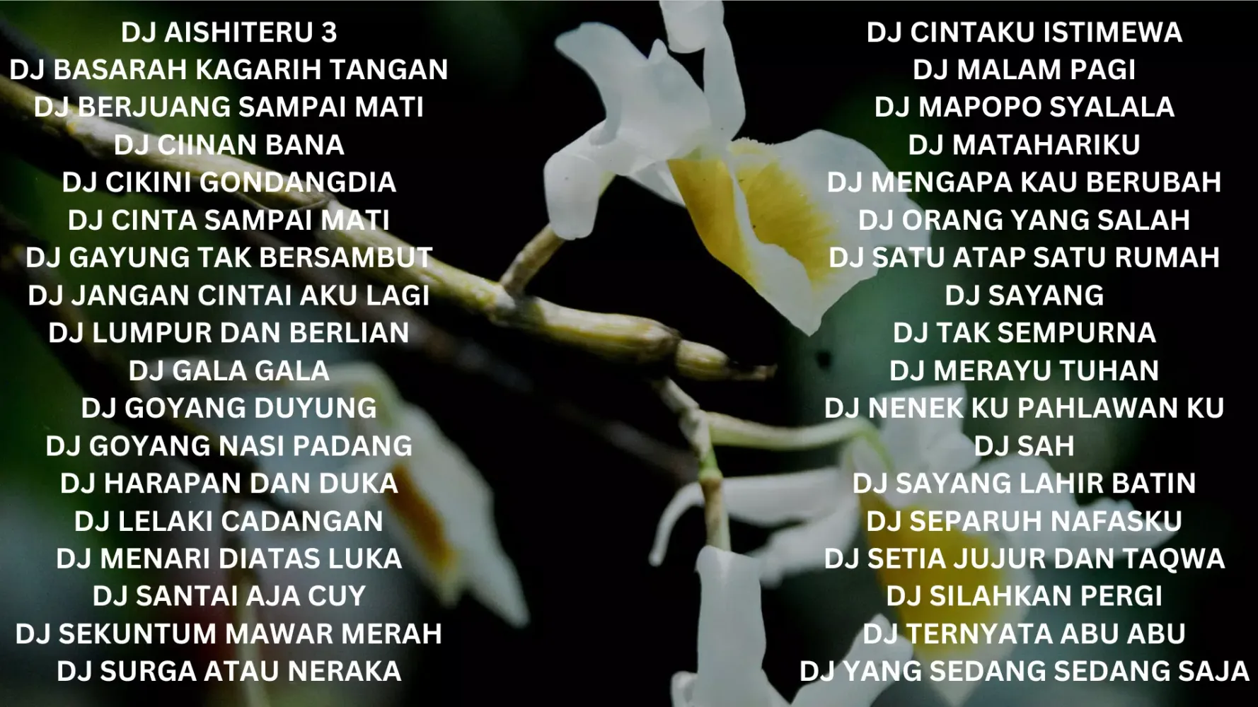 DJ Koplo Kendang Rampak Remix Screenshots