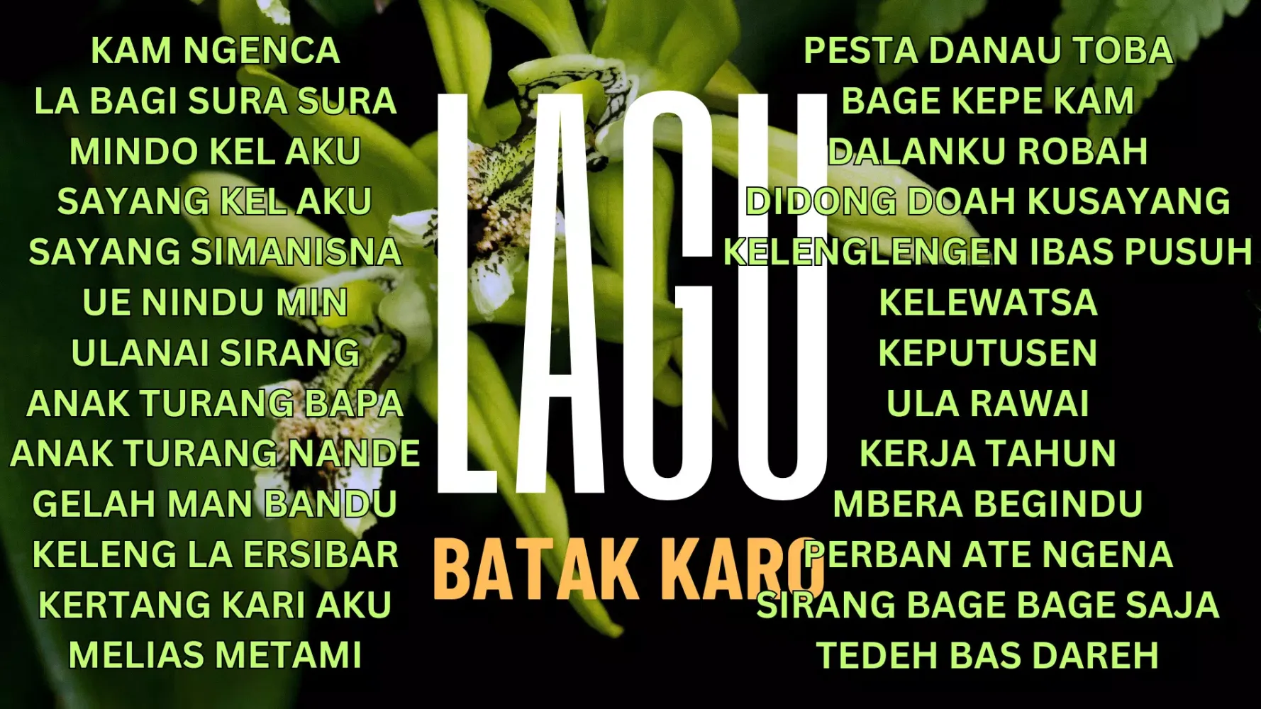 Lagu Mp3 Batak karo 2025 Screenshots