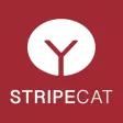 StripChat - More Fun