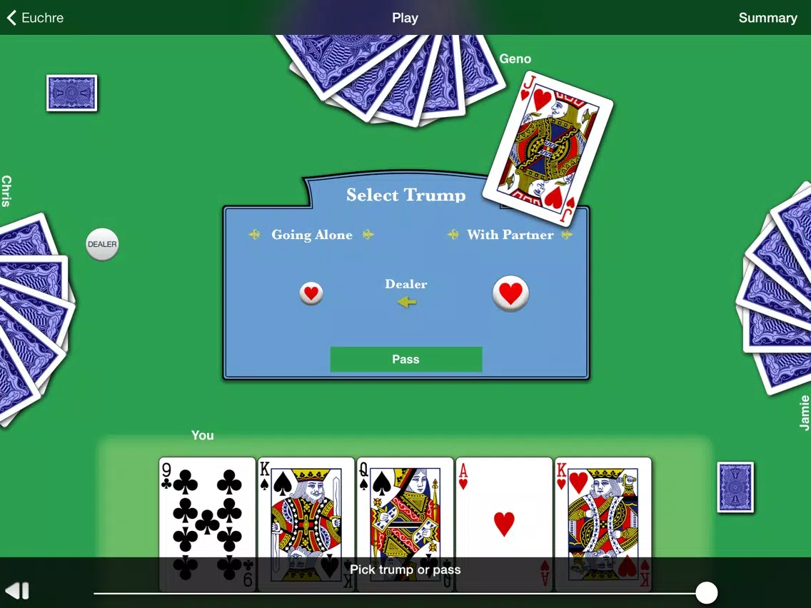 Euchre HD iPad 應用截圖
