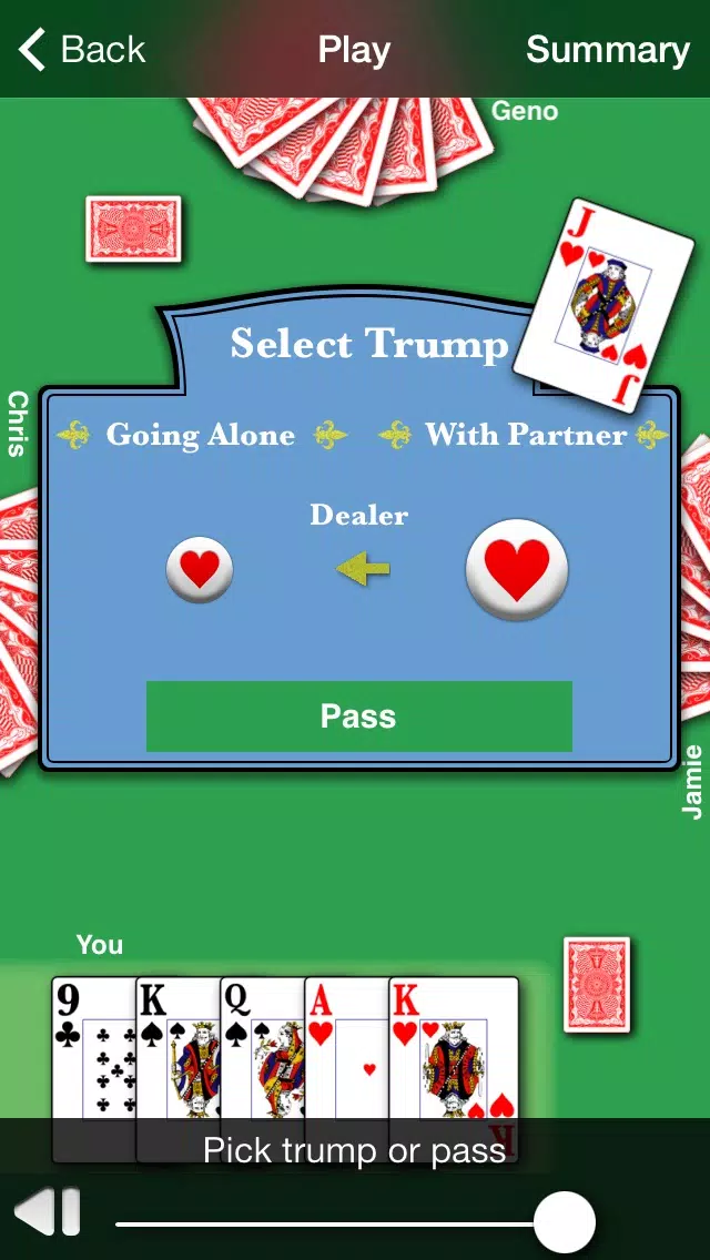 Euchre HD應用截圖