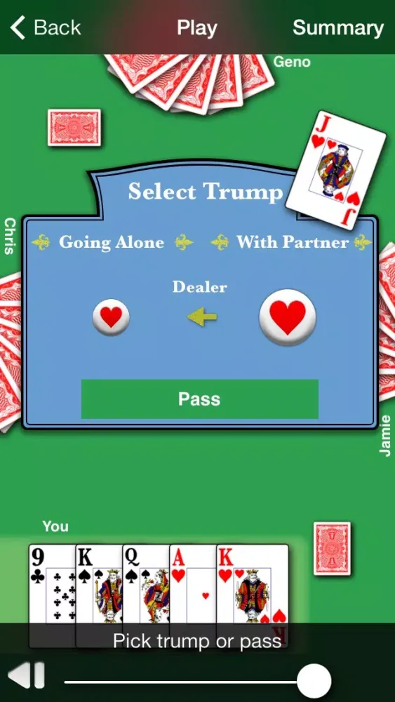 Euchre HD स्क्रीनशॉट