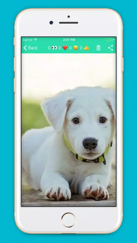 ebb -- secure photo sharing স্ক্রিনশট