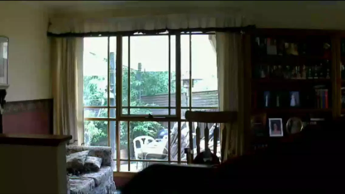 Ảnh chụp màn hình của SwannEye HD