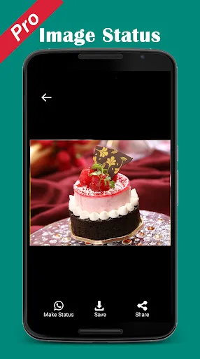 Pro Status Downloader Screenshots