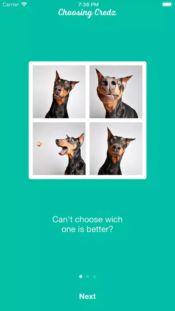 تصاویر Choosing Credz