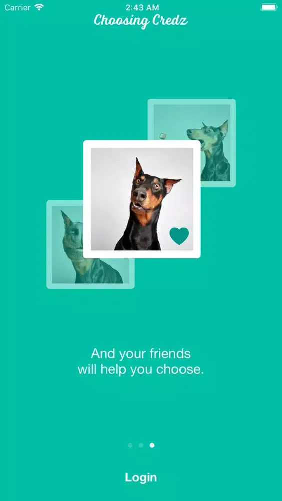 تصاویر Choosing Credz