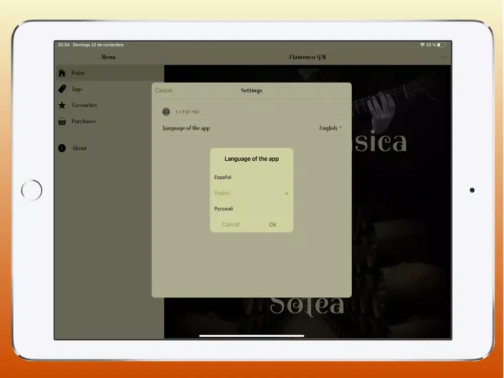 Скриншоты Flamenco Guitar Master iPad 