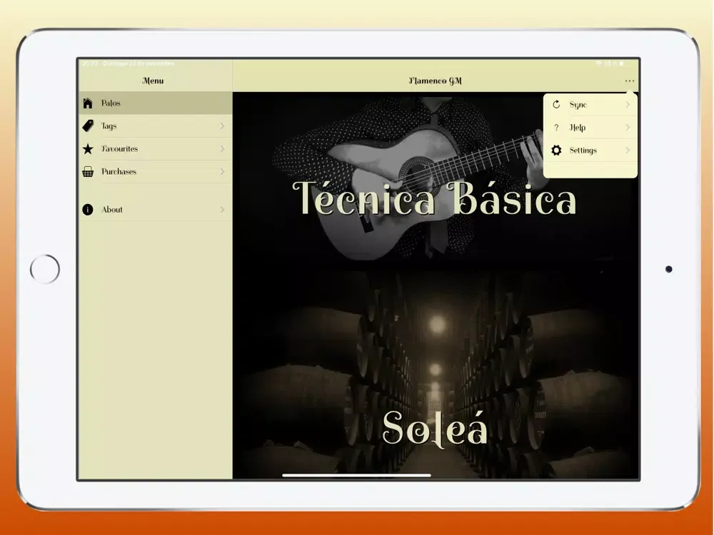 Скриншоты Flamenco Guitar Master iPad 