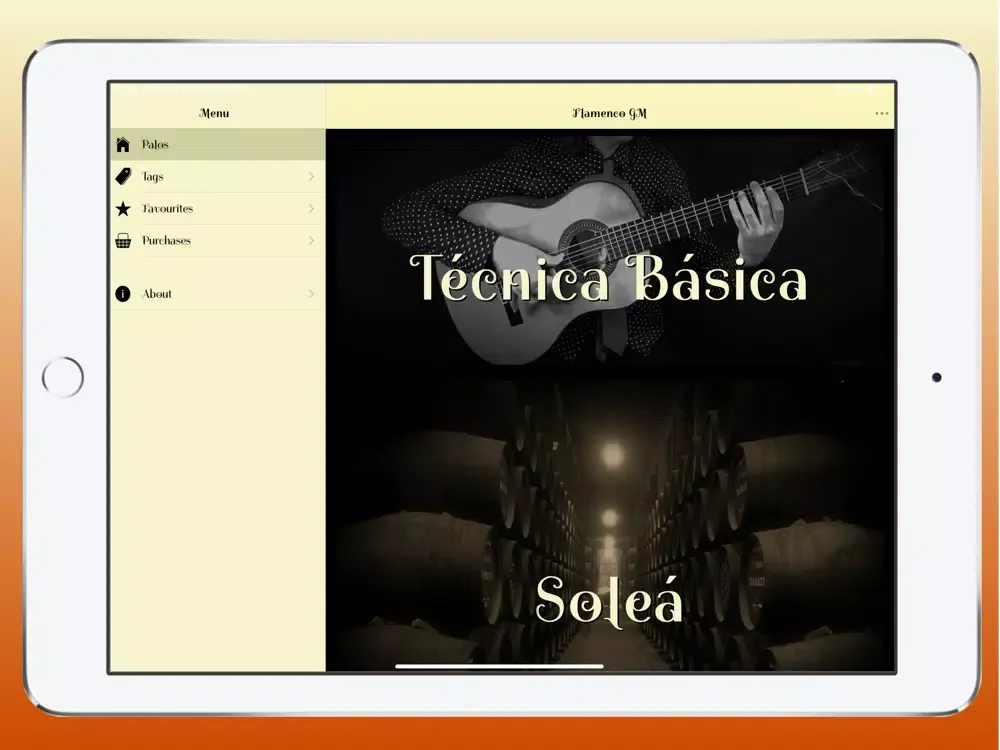 Скриншоты Flamenco Guitar Master iPad 
