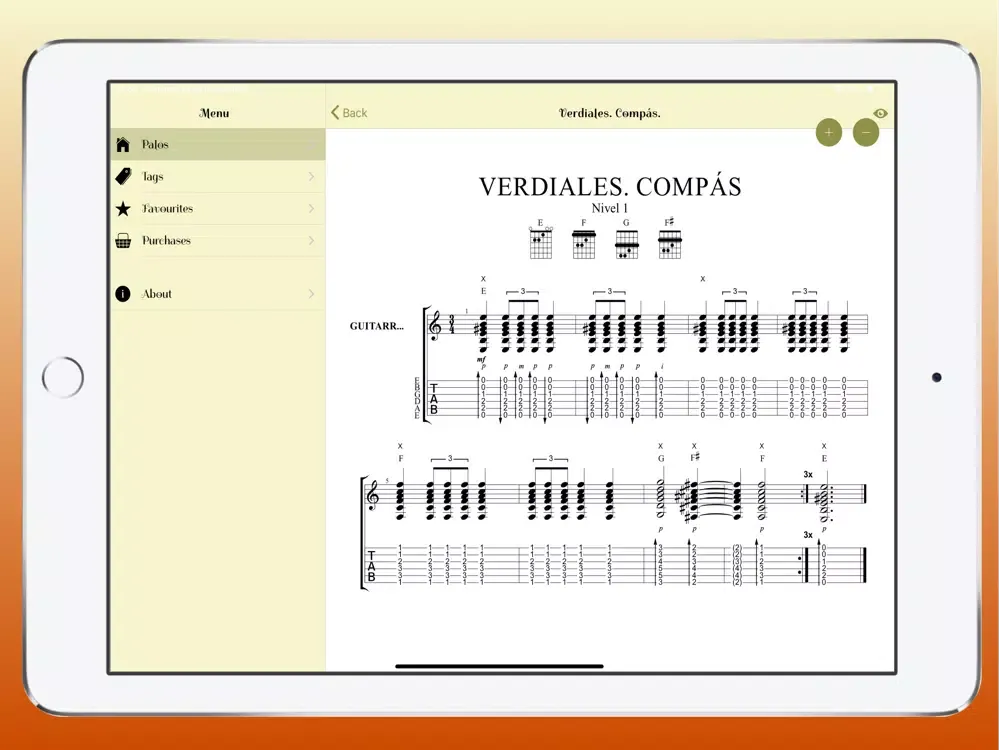 Скриншоты Flamenco Guitar Master iPad 