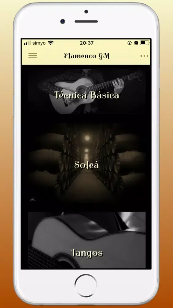 Скриншоты Flamenco Guitar Master