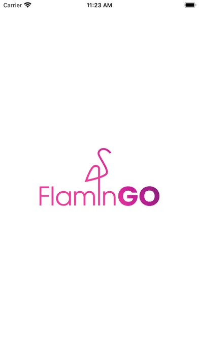 Screenshot di FlaminGo Agent