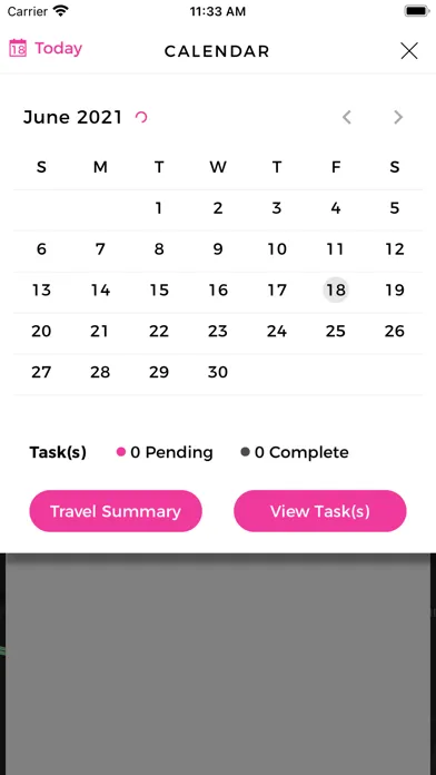Screenshot di FlaminGo Agent