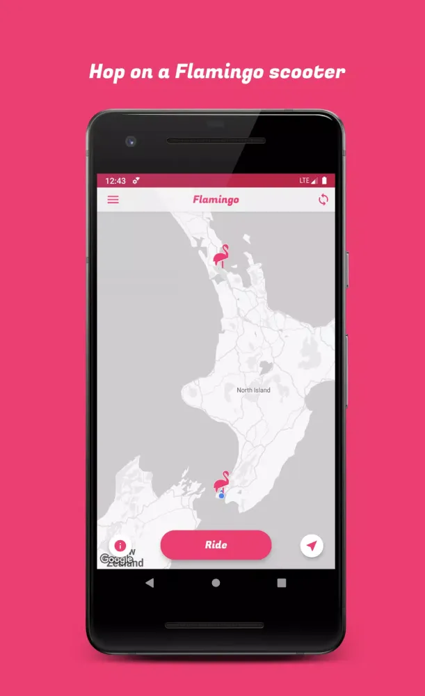Flamingo Scooters Screenshots