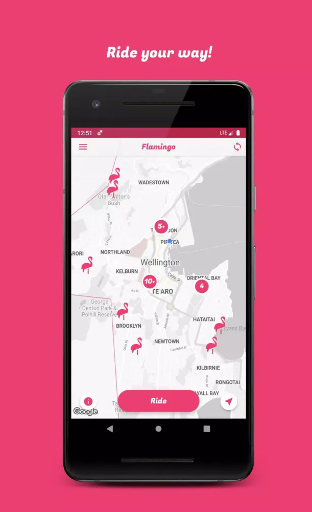 Flamingo Scooters Screenshots