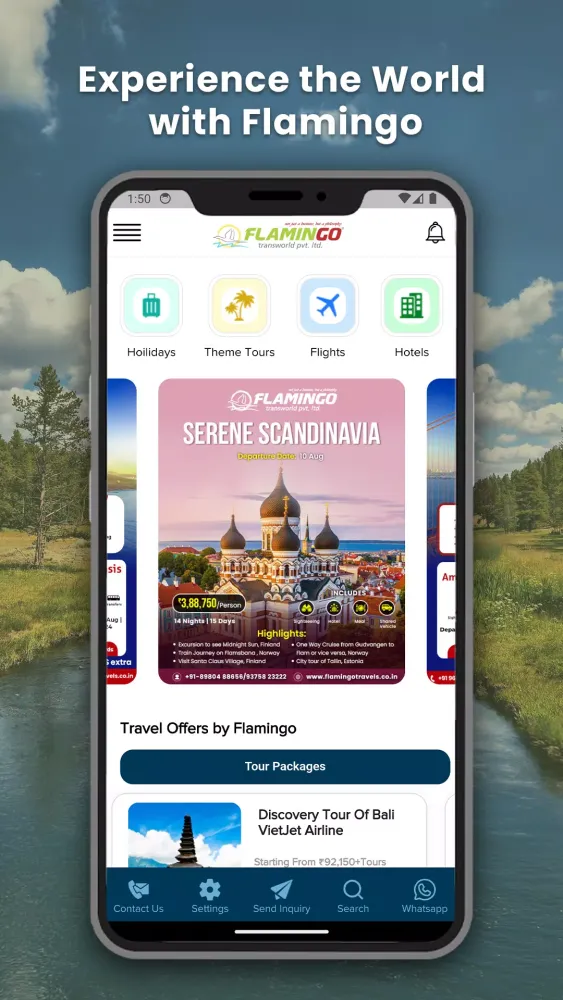 Flamingo Travels Screenshots