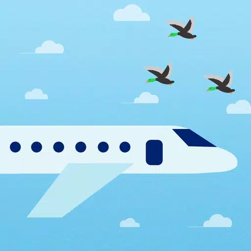 Flappy Plane - Avoid the ducks