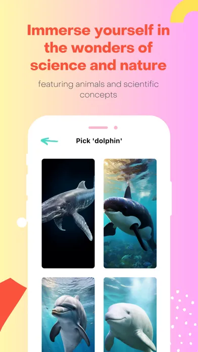 Flashy: Educational Card Game স্ক্রিনশট