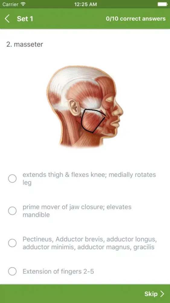 Anatomy Muscles System Screenshots